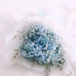 WhatsApp Image 2023-12-03 at 11.55.32