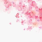 WhatsApp Image 2024-04-11 at 17.52.03 (1)